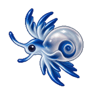 Blue Glaucus Veliger