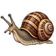 Wrinkled Snail