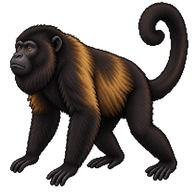 Mantled Howler Monkey