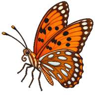 Gulf Fritillary