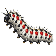 Apollo Caterpillar