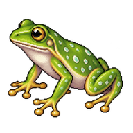 Emerald Spotted Treefrog