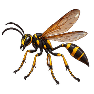 Mud Wasp