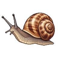 Kentish Snail