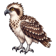 Osprey Nestling