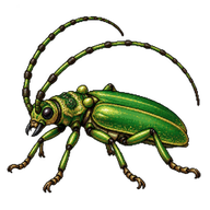 Green Knobtail Beetle
