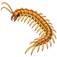 Luminous Centipede