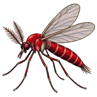 Tepper's Chironomid