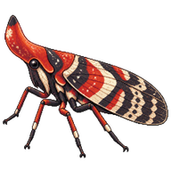 Lantern Bug