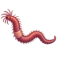 River Worm