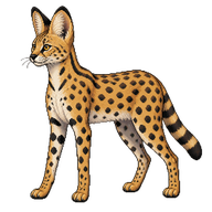 Serval