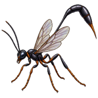 Javelin Wasp