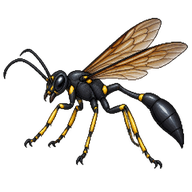 Black Mud Dauber Wasp