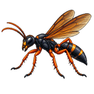 Spider Hunting Wasp