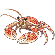 Dotted Anemone Crab