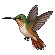 Cinnamon Hummingbird