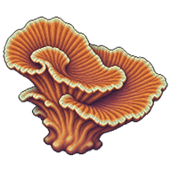 Serpent Coral