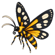 White Antennae Wasp Moth