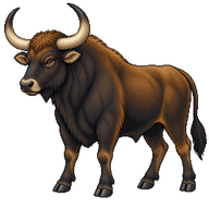 Aurochs Adult