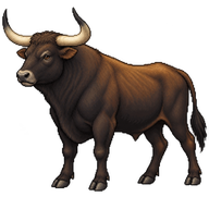 Aurochs