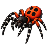 Ladybird Spider