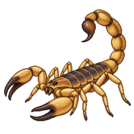 Dune Scorpion