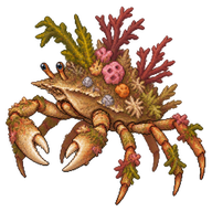 Decorator Crab
