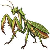 Monster Mantis