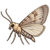 Lesser Wax Moth