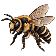 Giant Resin Bee