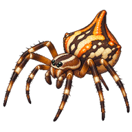 Humpbacked Orbweaver