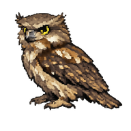 Tawny Frogmouth