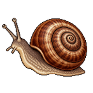 Rounded Snail