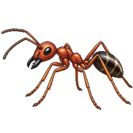 Speedy Desert Ant