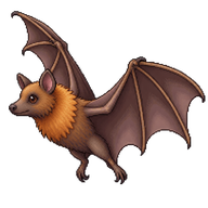 Egyptian Fruit Bat