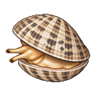 Pullet Carpet Shell