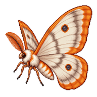 Orange-rimmed Satin Moth