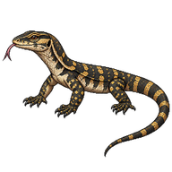 Common Water Monitor Hatchling