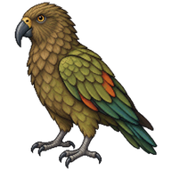 Kea