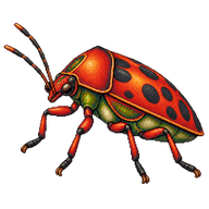 Torrid Jewel Bug