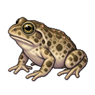 Great Basin Spadefoot