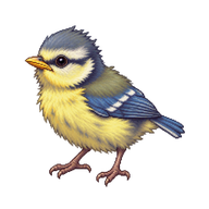 Blue Tit Nestling