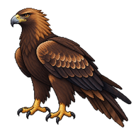 Wedge-tailed Eagle