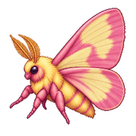 Rosy Maple Moth