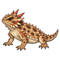 Greater Short-horned Lizard