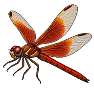 Flame Skimmer