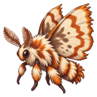 Hag Moth