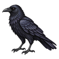Forest Raven