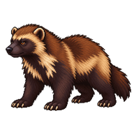 Wolverine