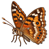 Tawny Emperor